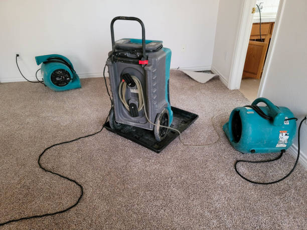 Best Mold removal after water damage  in Minnehaha, WA