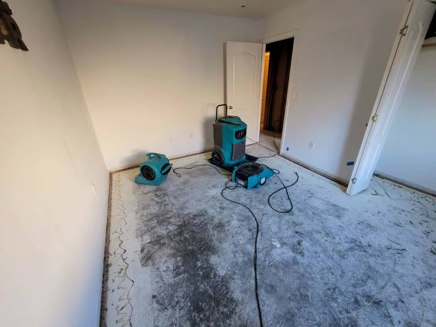 Best Flooded house restoration  in Minnehaha, WA