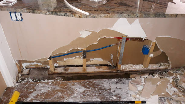 Best Basement water damage restoration  in Minnehaha, WA