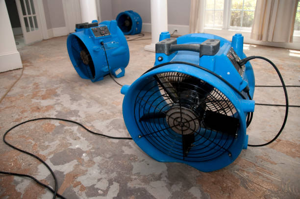 Best Sewage cleanup and water damage restoration  in Minnehaha, WA