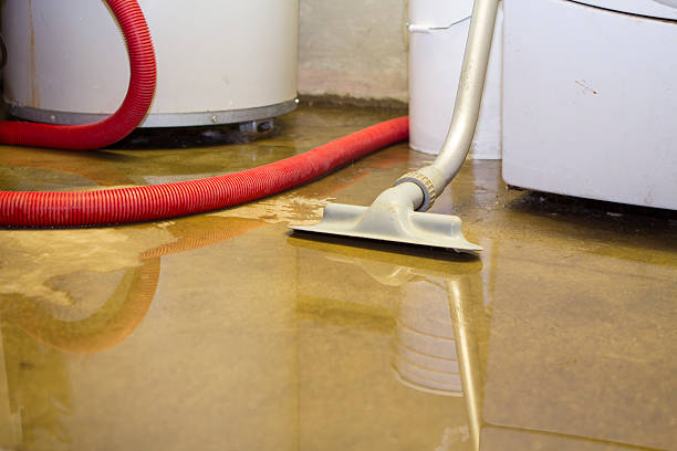 Best Flood restoration services  in Minnehaha, WA