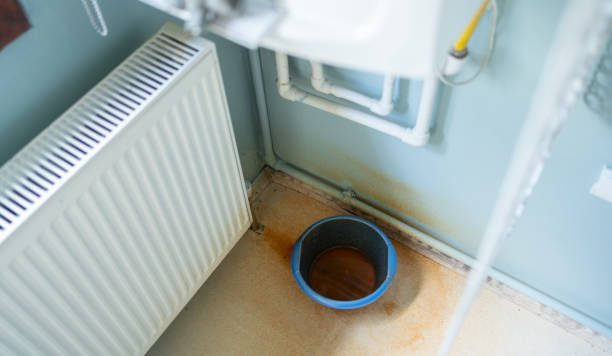 Best Water damage restoration near me  in Minnehaha, WA