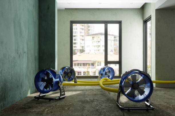 Professional Water damage restoration in WA